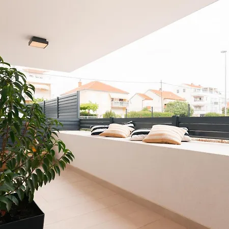 Mr.sailor * 扎达尔